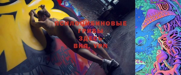 бошки Магас
